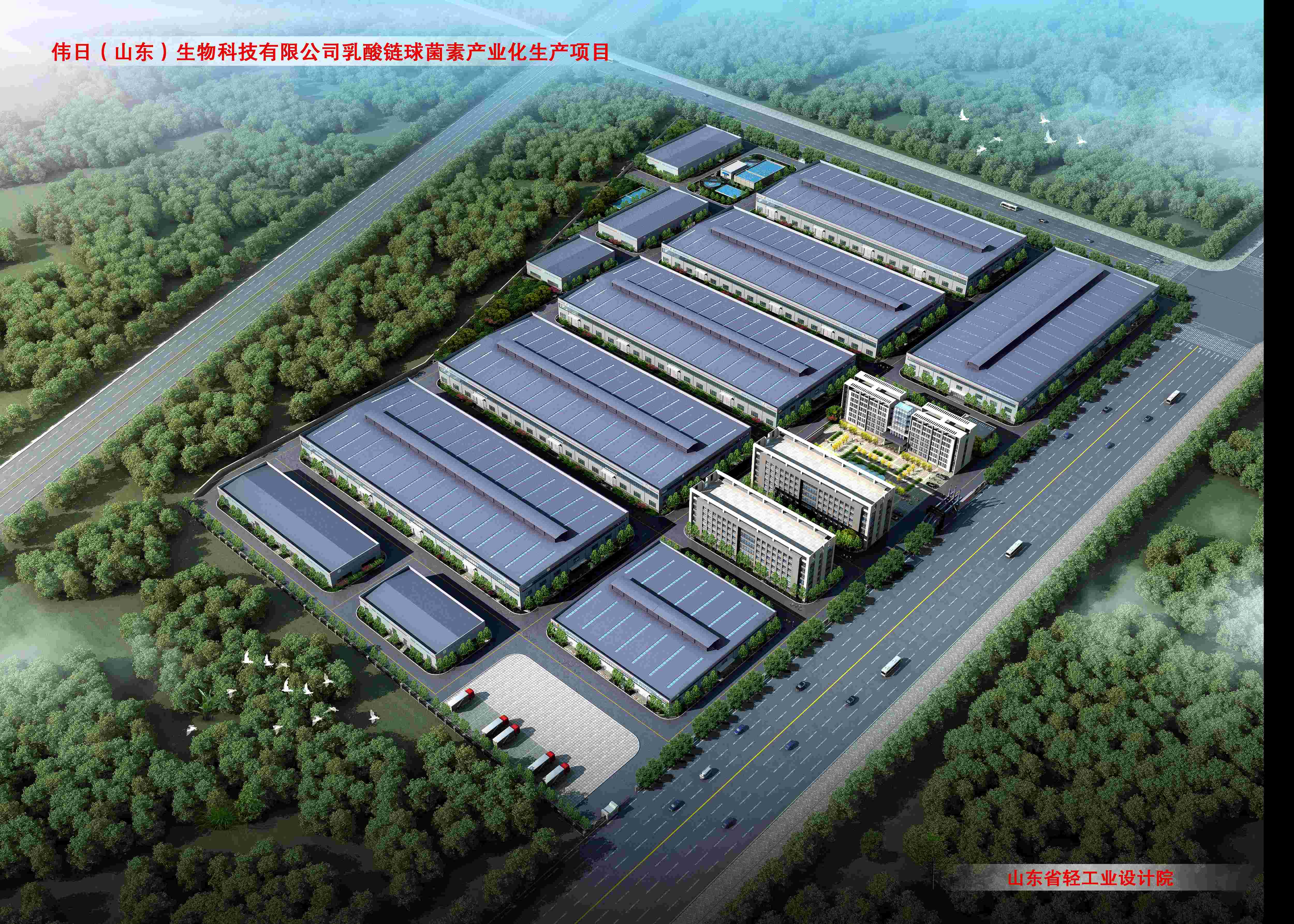 偉日（山東）生物科技乳酸鏈球菌素產業化項目